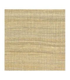 Papier Peint ELITIS CÉRÈS VP 1008 06 L'esprit des lieux