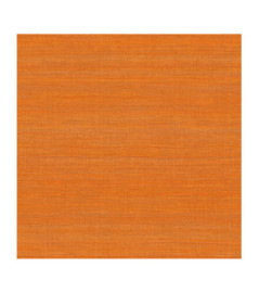 Papier Peint ELITIS Ceres VP 1008 35