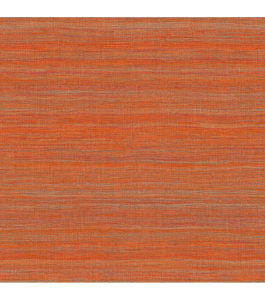 Papier Peint ELITIS Ceres VP 1008 36 Papier Peint ELITIS Ceres VP 1008 36