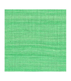 Papier Peint ELITIS CÉRÈS VP 1008 60 El labo verde