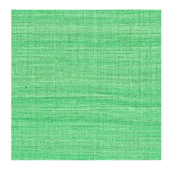 Papier Peint ELITIS CÉRÈS VP 1008 60 El labo verde