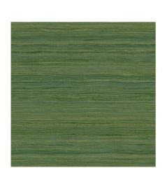 Papier Peint ELITIS Ceres VP 1008 62