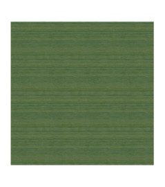 Papier Peint ELITIS CÉRÈS VP 1008 62 Où coule une rivière