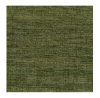 Papier Peint ELITIS CÉRÈS VP 1008 64 Entre mousse et lichen