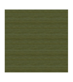 Papier Peint ELITIS CÉRÈS VP 1008 64 Entre mousse et lichen