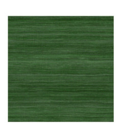 Papier Peint ELITIS Ceres VP 1008 67