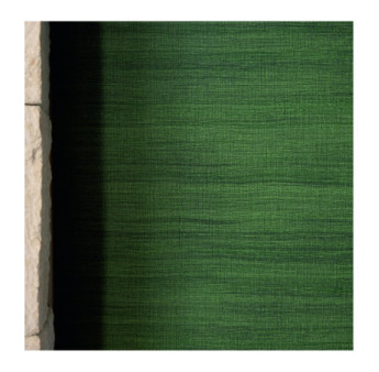 Papier Peint ELITIS CÉRÈS VP 1008 67 Un théâtre de verdure