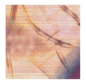 Papier Peint ELITIS CÉRÈS VP 1014 01 D'un battement d'ailes