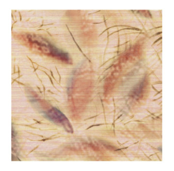 Papier Peint ELITIS CÉRÈS VP 1014 01 D'un battement d'ailes