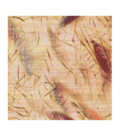 Papier Peint ELITIS CÉRÈS VP 1014 01 D'un battement d'ailes