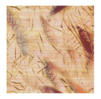Papier Peint ELITIS CÉRÈS VP 1014 01 D'un battement d'ailes