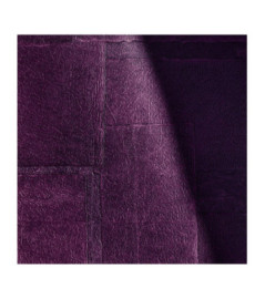 Papier Peint ELITIS SANGPI VP 1018 38 Divine surprise