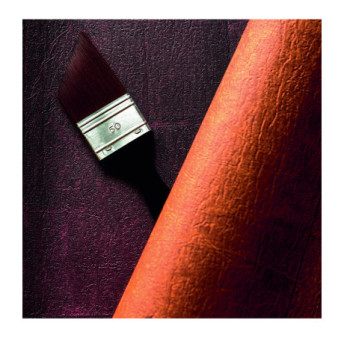 Papier Peint ELITIS SANGPI VP 1018 38 Divine surprise