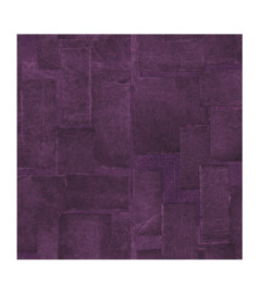 Papier Peint ELITIS SANGPI VP 1018 38 Divine surprise