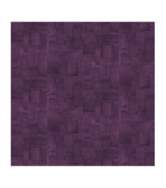 Papier Peint ELITIS SANGPI VP 1018 38 Divine surprise