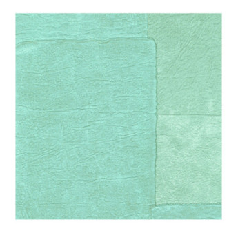 Papier Peint ELITIS Sangpi VP 1018 40