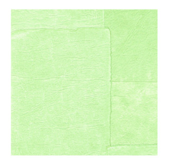 Papier Peint ELITIS Sangpi VP 1018 61