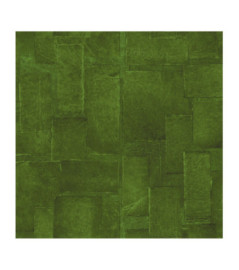 Papier Peint ELITIS SANGPI VP 1018 67 L'ombre d'un mystère