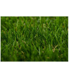 Gazon synthétique TURFGRASS Java 30mm 2m