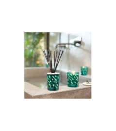 ESTEBAN Bouquet parfumé décoratif rechargeable  EAU d'AMAZONIE 100ml
