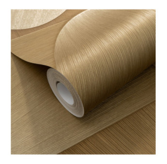 Papier Peint ERISMANN Collection ELYSIUM 10423-30 Or