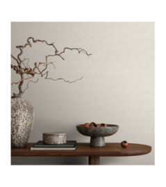 Papier Peint ERISMANN Collection ELYSIUM 10473-14 Creme