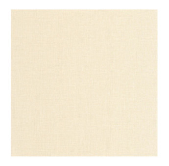 Papier Peint CASELIO Jute 2 JUT104010010