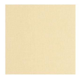 Papier Peint CASELIO Jute 2 JUT104012856