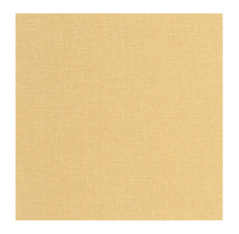 Papier Peint CASELIO Jute 2 JUT104012930