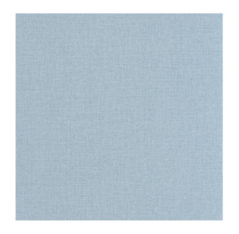 Papier Peint CASELIO Jute 2 JUT104016150