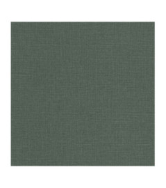 Papier Peint CASELIO Jute 2 JUT104017850