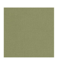 Papier Peint CASELIO Jute 2 JUT104017951
