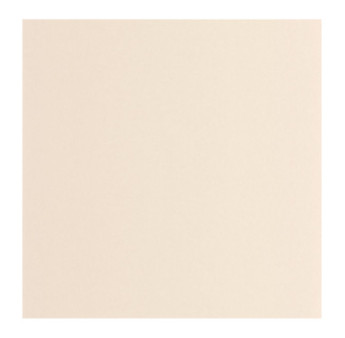 Papier Peint CASADECO Moulures & Co MOCO200331101
