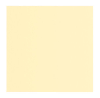 Papier Peint CASADECO Moulures & Co MOCO200332002