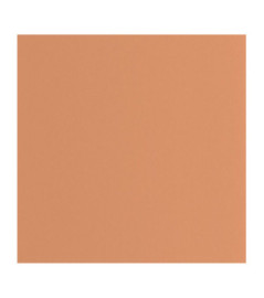 Papier Peint CASADECO Moulures & Co MOCO200333320