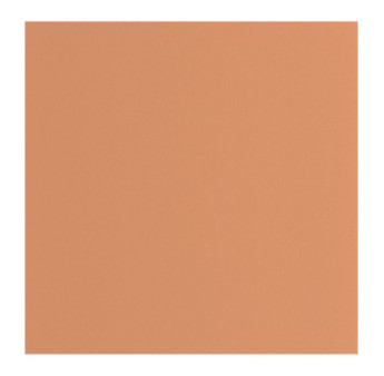 Papier Peint CASADECO Moulures & Co MOCO200333320