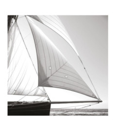 Panoramique CASADECO Seaside SEAS201579202