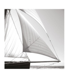 Panoramique CASADECO Seaside SEAS201579204