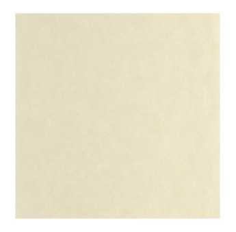 Papier Peint CASADECO Vegetals VEGE201271221