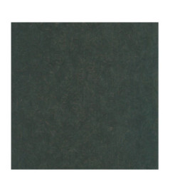 Papier Peint CASADECO Vegetals VEGE201276707