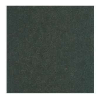 Papier Peint CASADECO Vegetals VEGE201276707