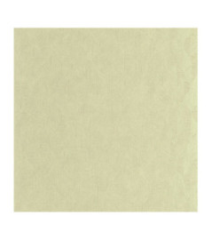 Papier Peint CASADECO Vegetals VEGE201277227