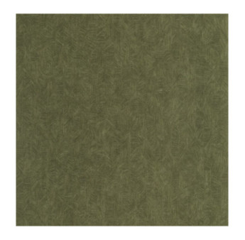 Papier Peint CASADECO Vegetals VEGE201277777