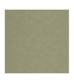 Papier Peint CASADECO Vegetals VEGE201287373