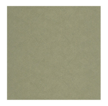 Papier Peint CASADECO Vegetals VEGE201287373
