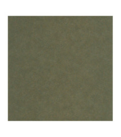 Papier Peint CASADECO Vegetals VEGE201287909