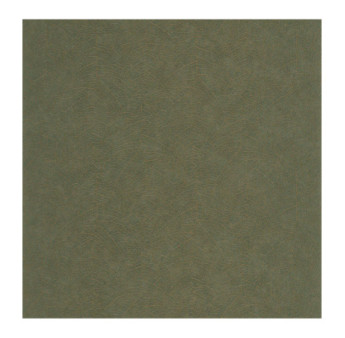 Papier Peint CASADECO Vegetals VEGE201287909
