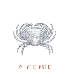 Affiche CASADECO Collection SEASIDE Le Crabe SEAS201648604 50x70cm