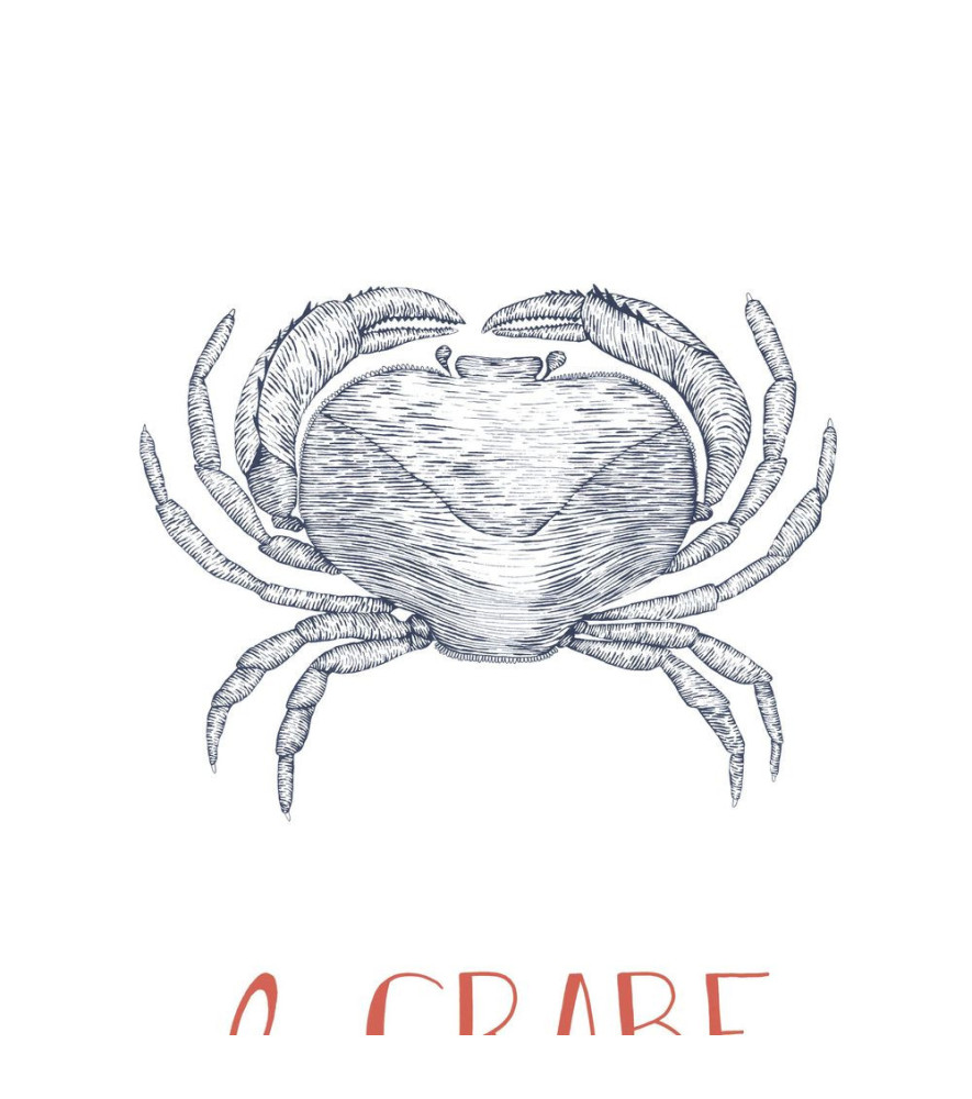 Affiche CASADECO Collection SEASIDE Le Crabe SEAS201648604 50x70cm Affiche CASADECO Collection SEASIDE Le Crabe SEAS201648604 50x70cm