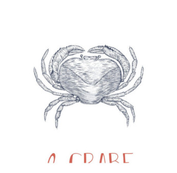Affiche CASADECO Collection SEASIDE Le Crabe SEAS201648604 50x70cm